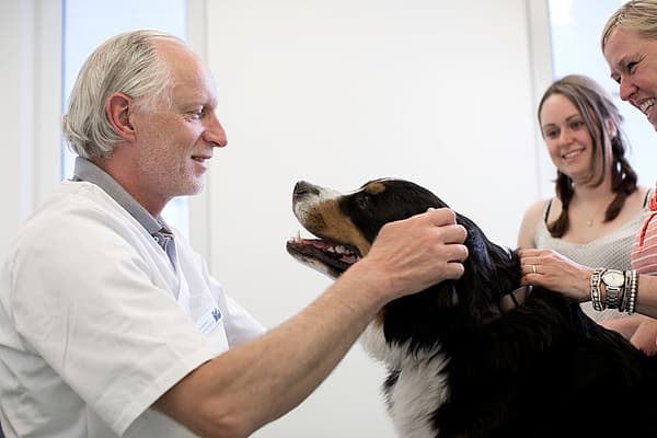 A person and person petting a dog.