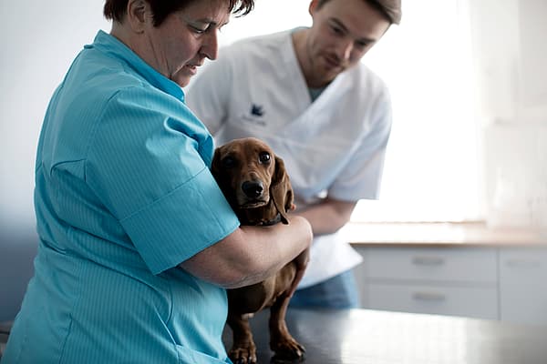 A person holding a dog.