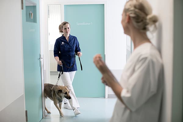 Eine Person, die mit einem Hund in einem Flur spazieren geht.