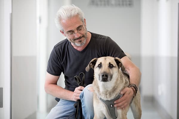 Eine Person mit einem Hund.