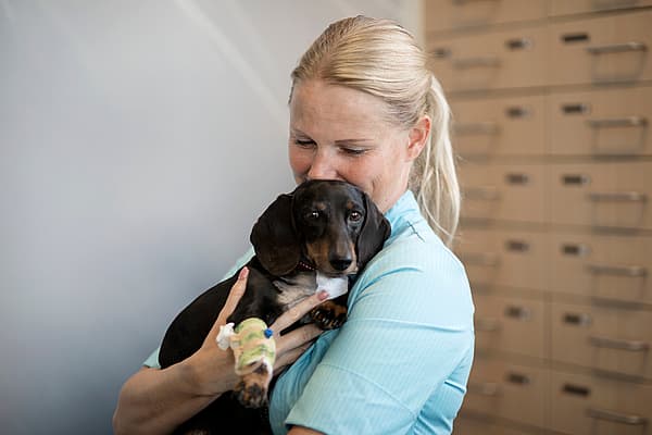 A person holding a dog.