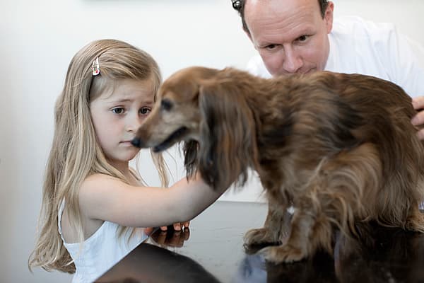 Ein Kind und ein Hund.