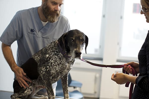 Eine Person in Kitteln, die einen Hund an der Leine hält.