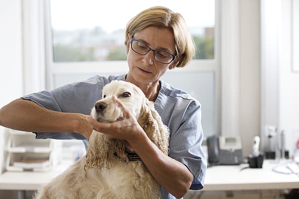 Eine Person mit Brille, die einen Hund hält.