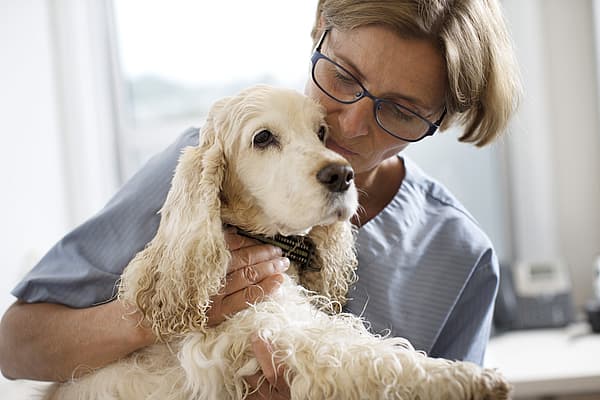 A person holding a dog.
