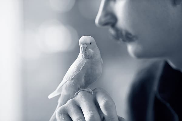 A person holding a bird.
