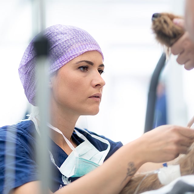 A person holding a dog.
