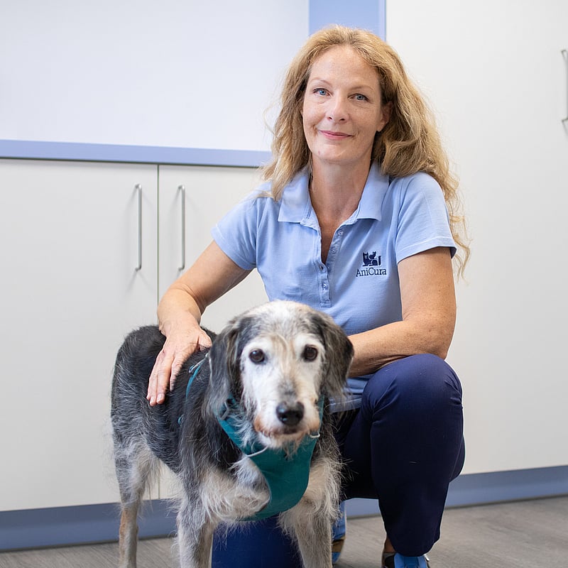 Foto von Corinna Weichert, Veterinärmedizinische Physiotherapeutin Und Osteopathin Für Kleintiere