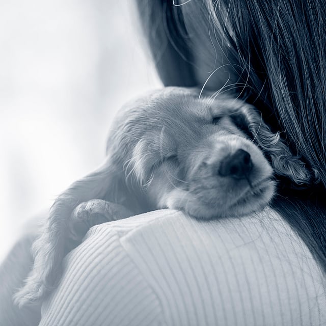 Ein Hund, der auf der Schulter einer Person schläft.