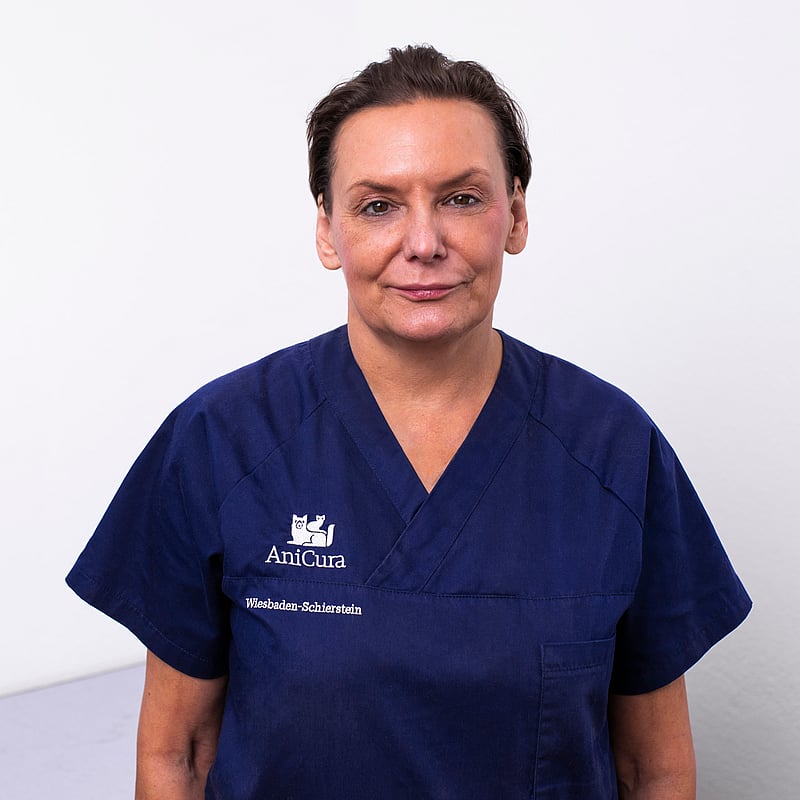 Foto von Claudia Göttinger-Pieper, Tierärztin