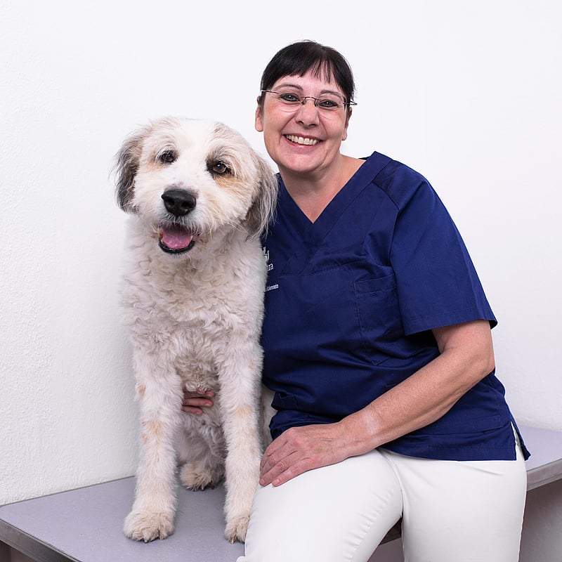 Foto von Dr. Susanne Nick, Fachtierärztin Für Chirurgie