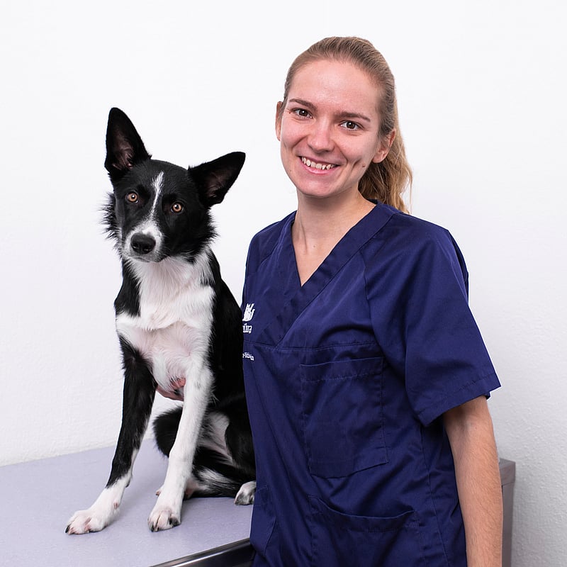 Foto von Rebecca Kammer, Tierärztin
