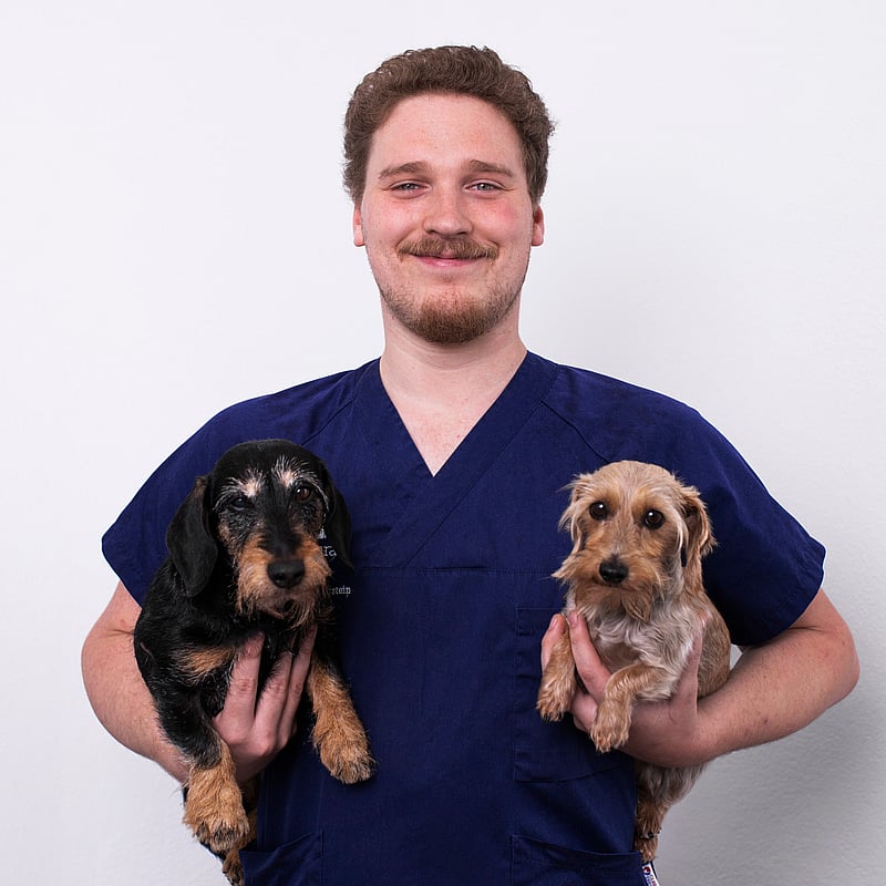 Foto von Cedric Rohde, Tiermedizinischer Fachangestellter