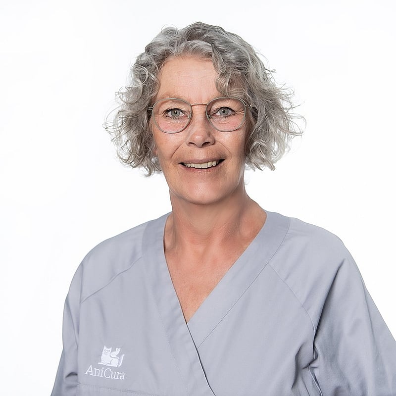 Foto von Andrea Mayr, Rezeption