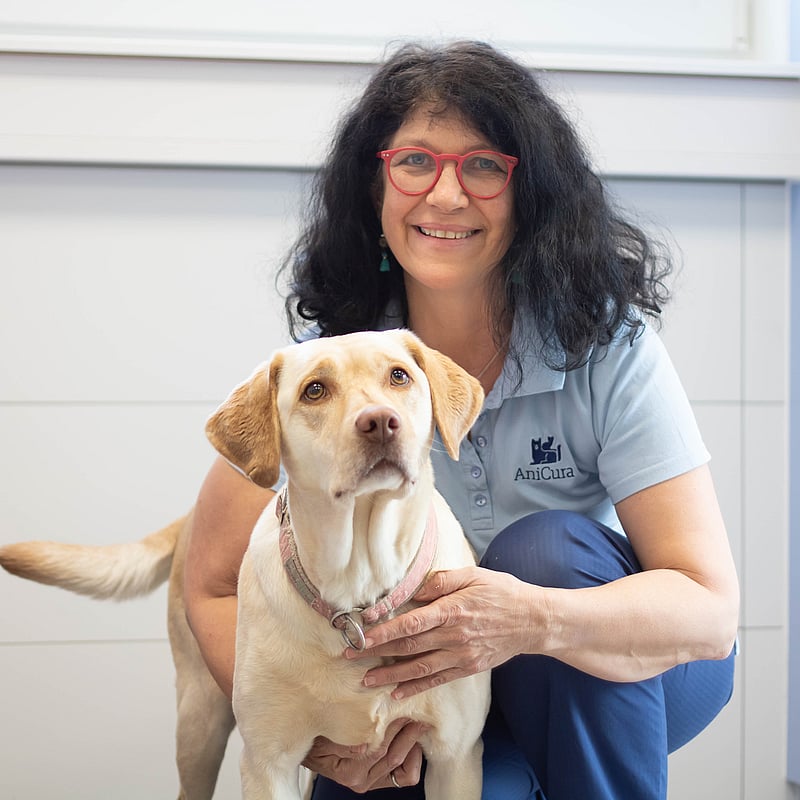 Foto von Ilka Voegeding, Veterinärmedizinische Physiotherapeutin Und Akupunkteurin Für Kleintiere