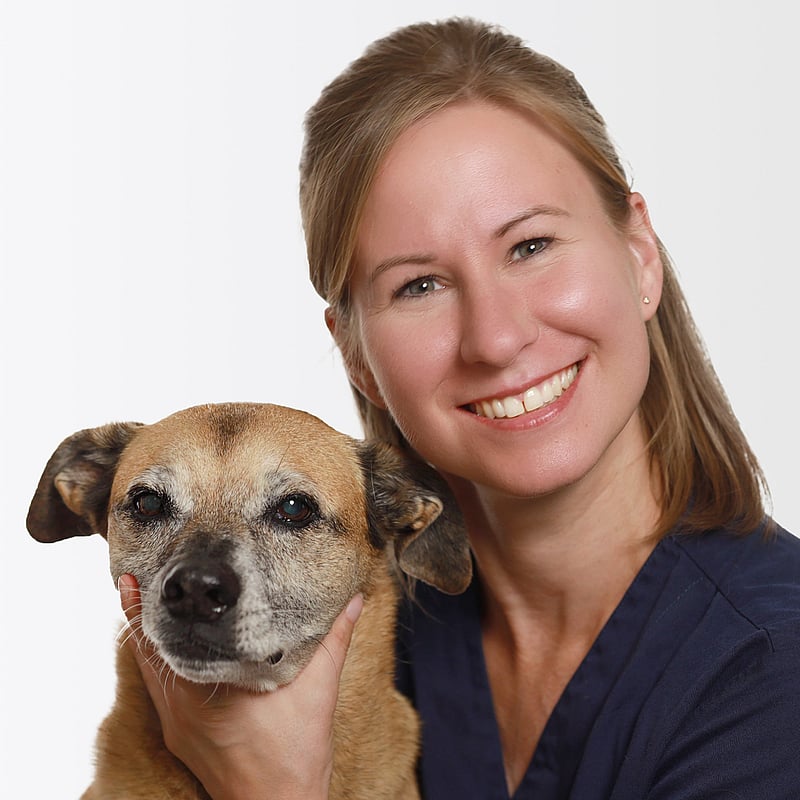 Foto von Jennifer Schramm, Tierärztin, Gpcert Sam (general Practitioner Certificate In Small Animal Medicine)