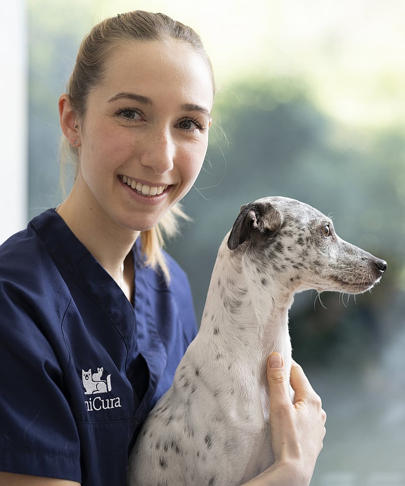 Tierärztin mit Hund im Arm lächelt in die Kamera