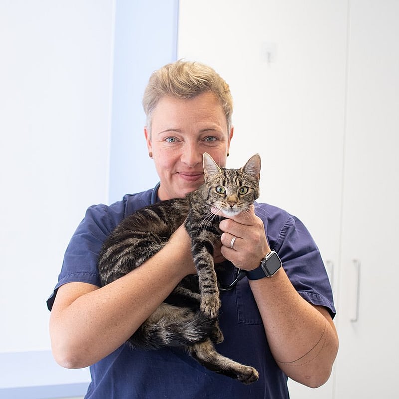 Foto von Dr. (Uni Lüttich) Marie Gilles, Tierärztin + Chirurgin