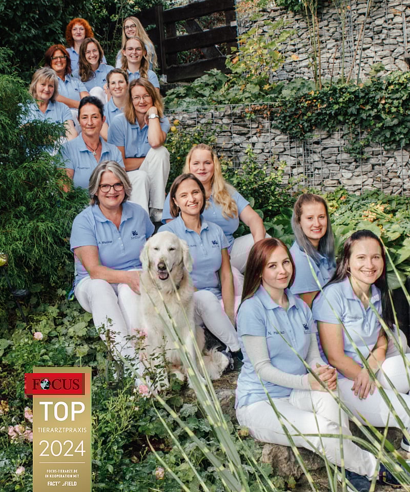Eine Gruppe von Frauen sitzt auf einer Steintreppe.