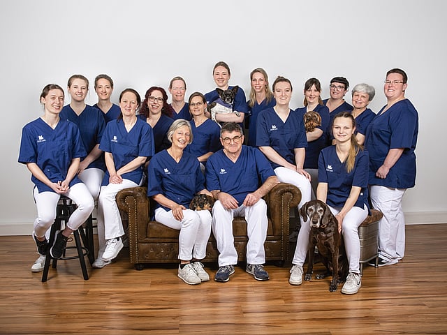 Das gesamte Team auf einem Foto