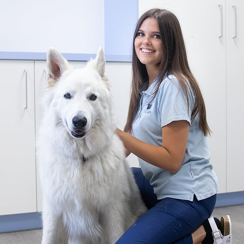 Foto von Lisa Schulmann, Tiermedizinische Fachangestellte + Social Media Beauftragte