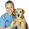 Foto von Ramona Roos, Tiermedizinische Fachangestellte