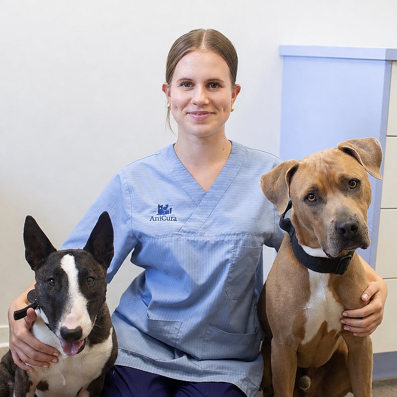 Foto von Svea Fassing, Auszubildende Zur Tiermedizinischen Fachangestellten