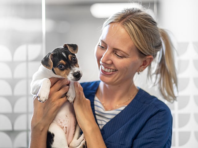 Frau mit Hundewelpe auf dem Arm