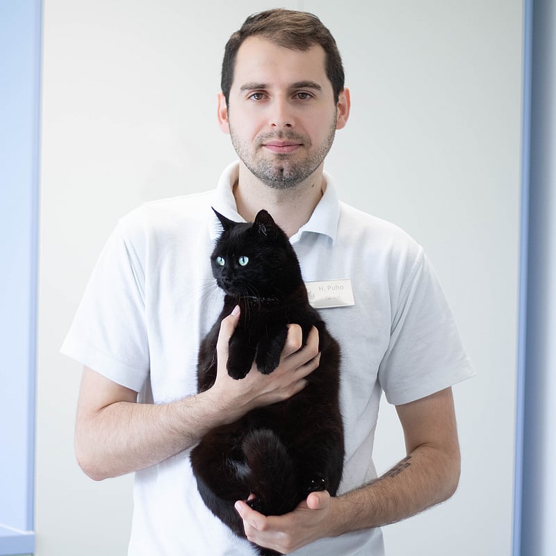 Foto von Dr. med.vet IA Klausenburg Henrik Puho, Tierarzt, Gpcert (smp) Small Mammal Practice