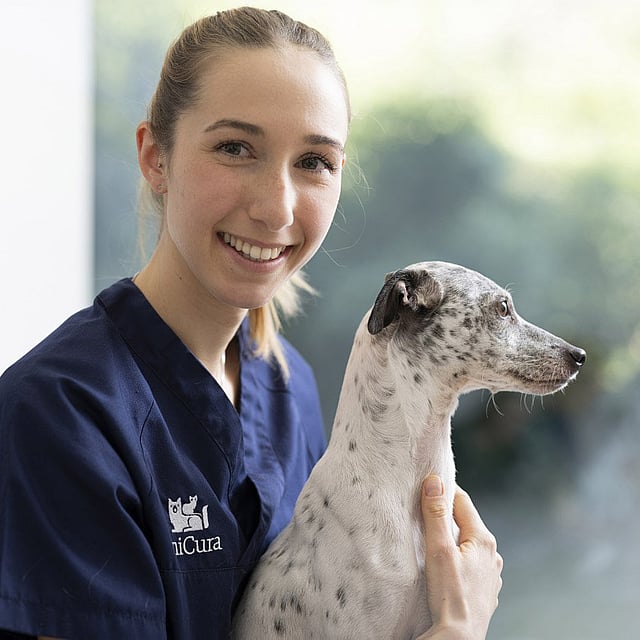 A person holding a dog.