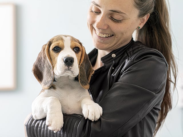 A person holding a dog.