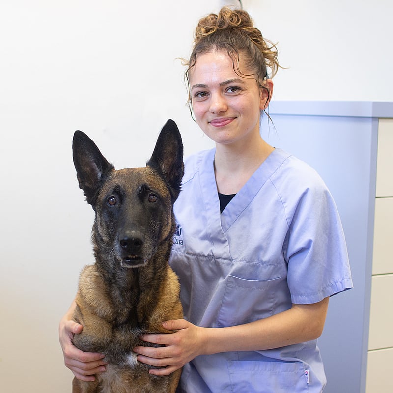Foto von Norina Bode, Auszubildende Zur Tiermedizinischen Fachangestellten