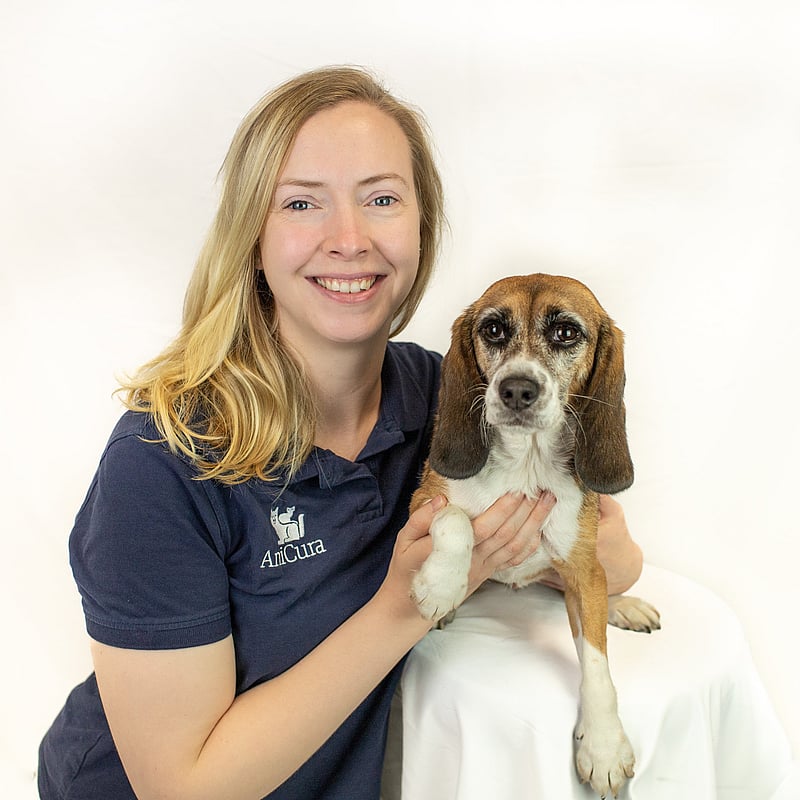 Foto von Kim Zammert, Tierärzte