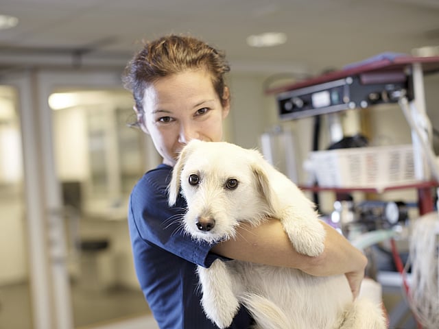 Eine Tierärztin hält einen weißen Hund auf dem Arm und kuschelt mit ihm. Beide schauen in die Kamera.