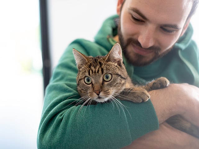 Eine Person, die eine Katze hält.