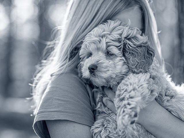 A person holding a dog.