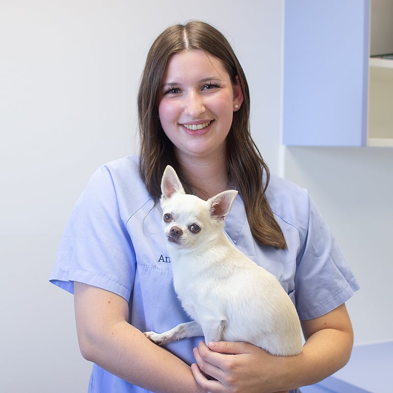 Foto von Ella Reiner, Auszubildende Zur Tiermedizinischen Fachangestellten