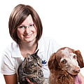 Foto von Theresa Heisterklaus, Stellvertretende Praxisleiterin, Tierärztin, Gpcert Cardiology