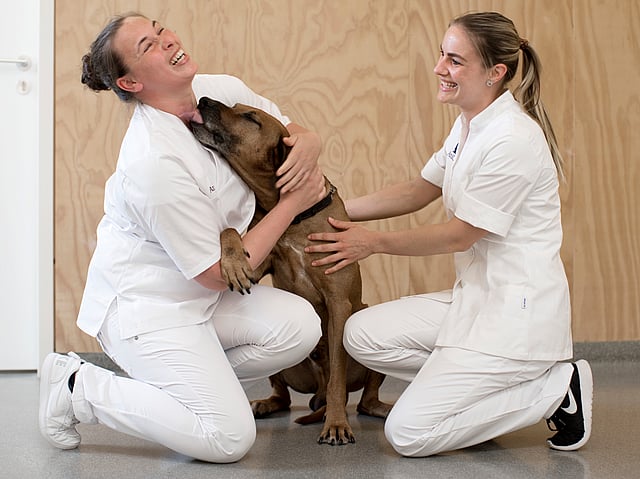 Zwei Frauen in weißen Uniformen halten einen Hund.