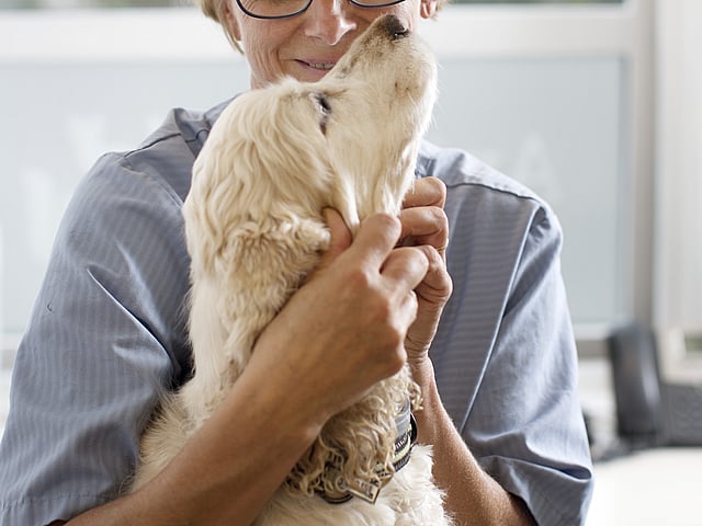 A person holding a dog.