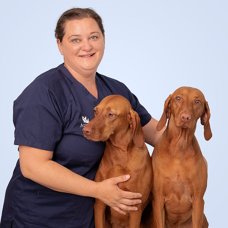 Foto von Sandra Honke, Tiermedizinische Fachangestellte