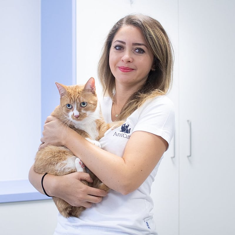 Foto von Dr. med.vet IA Temesburg Cristina Popa, Dermatologie Beim Kleintier, Gpcert Dermatologie, Ievs Certificate Of Knowledge In Foundation Of Dermatology‘, Zusatzbezeichnung Dermatologie Beim Kleintier, Ievs Certificate Of Knowledge In Canine And Feline Onkology