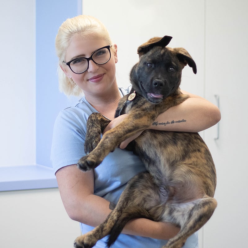 Foto von Karla Andrée, Tiermedizinische Fachangestellte