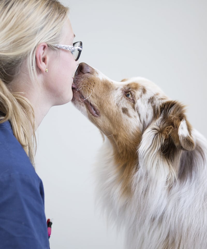 Eine Frau, die einen Hund küsst.