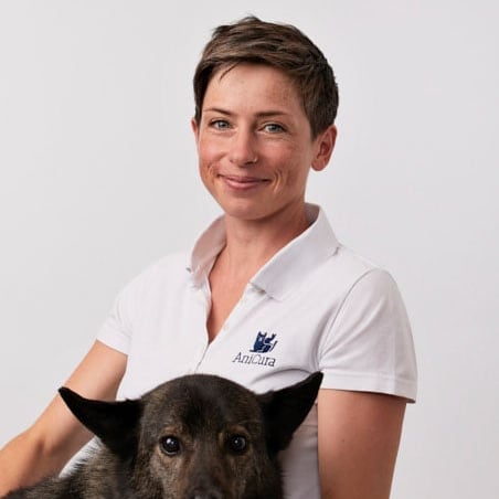 Foto von Dr. Julia Brömmelstrote, Tierärzte