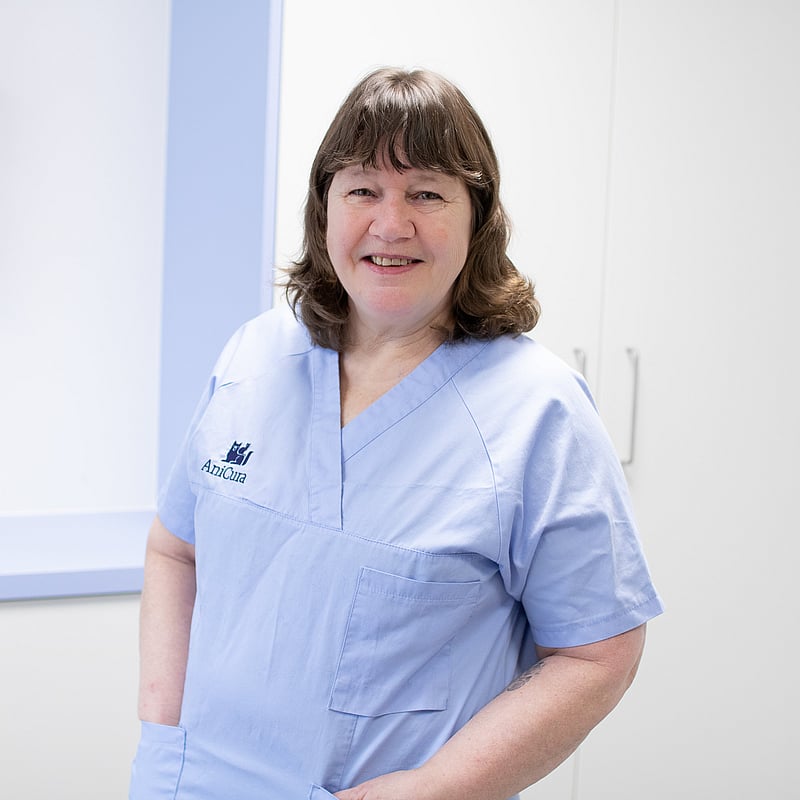 Foto von Andrea Becker, Tierarzthelferin, Cat Advocate, Zertifizierte Blutegeltherapeutin Und Tierheilpraktikerin, Zertifizierte Ersthelferin Und Brandschutzhelferin