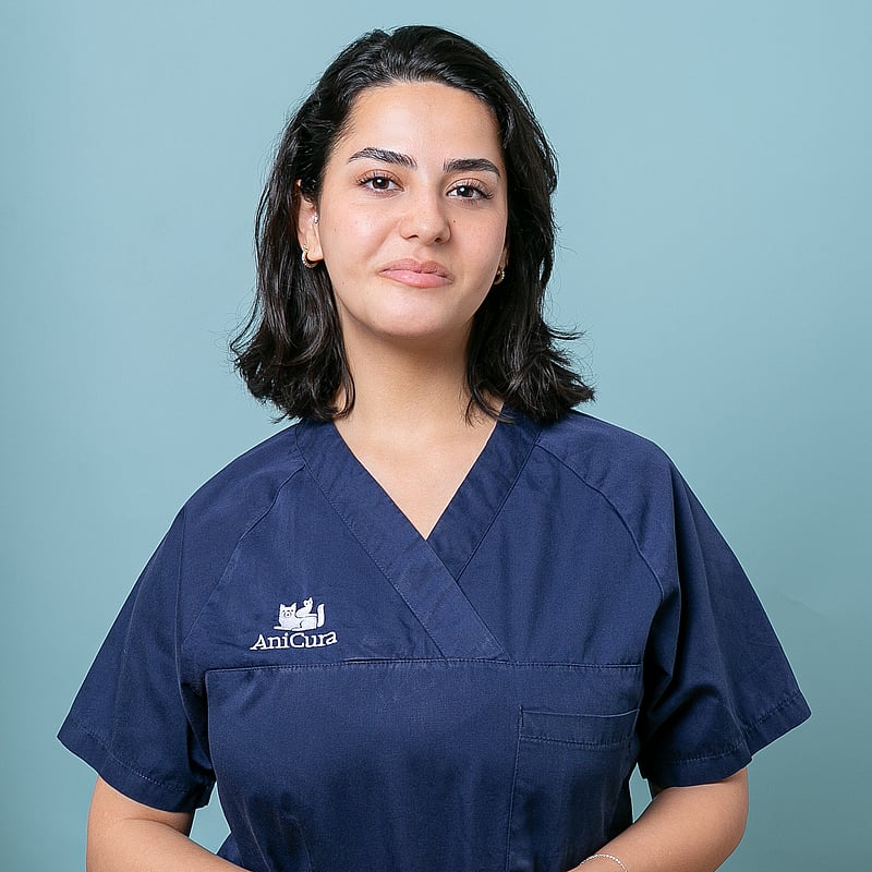 Foto von Feza Nur Nazli, Anmeldung