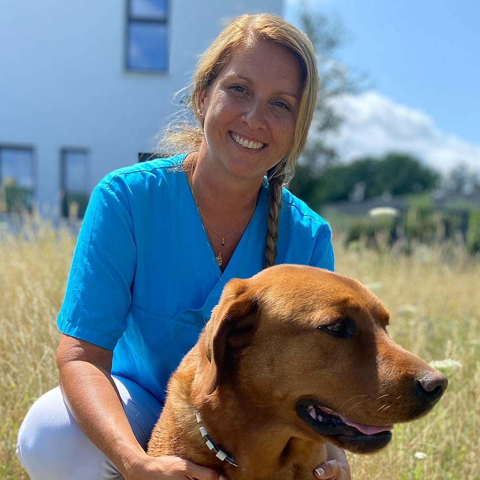 Eine Person in einem blauen Kittel, die mit einem Hund auf einem Feld kniet.