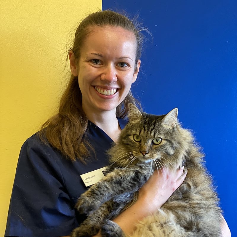 Foto von Laura Remmert, Oberärztin