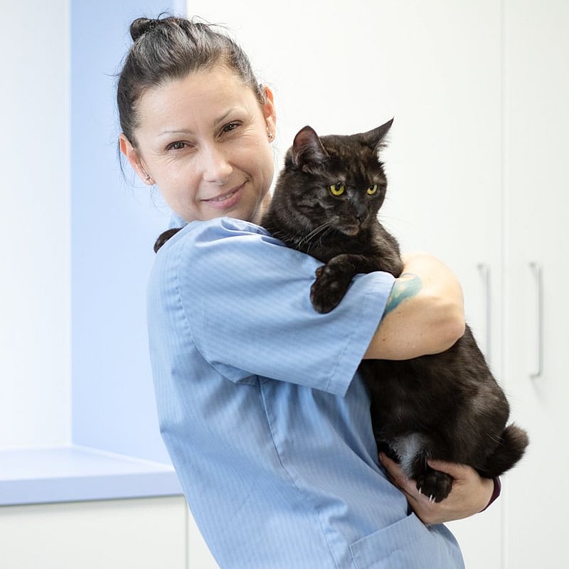 Foto von Janina Mummert, Mädchen Für Alles